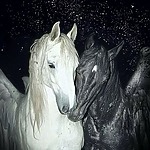 Profile photo of Eslem Esen