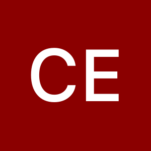 Profile photo of Ceylin Özgür Erzen