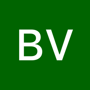 Profile photo of Berkay Vildan