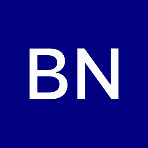 Profile photo of Bekir Nalkesen