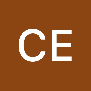 Profile photo of Cem ENGİNSEL