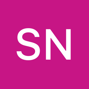 Profile photo of Sasan Nahani