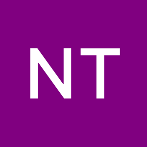 Profile photo of Nurhan Tokdemir