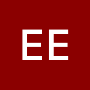 Profile photo of enes erbayrakçı