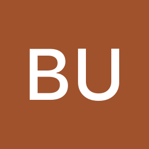 Profile photo of Berk Ulupınar